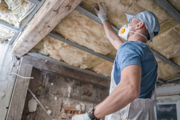 Best Insulation Maintenance and Repair in Maysville, MO